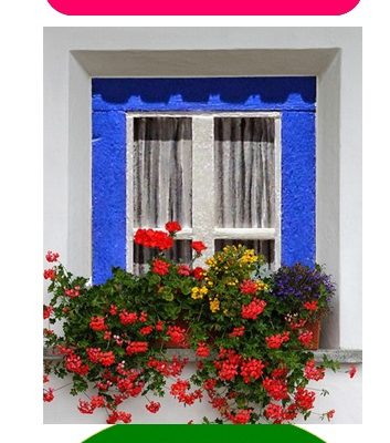 ConcursoVilaViosaConcelhoFlorido2020_C_0_1594736074.