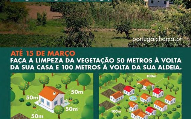 LimpezadeTerrenos2019_F_0_1594732868.