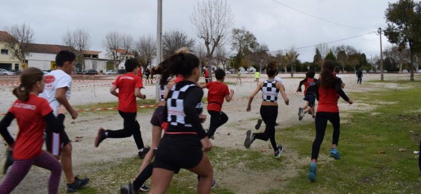 XXICRITRIODECORTAMATOPAULOGUERRA4.PROVAVILAVIOSA_F_0_1594732431.