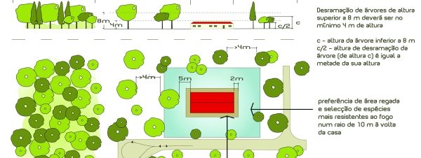 Floresta Contra Incendio