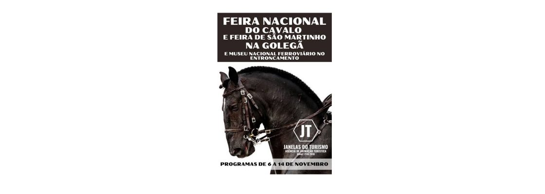 Feira Nacional do Cavalo e Feira de São Martinho na Golegã – De 6 a 14 de Novembro