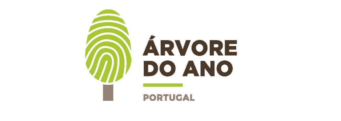 Sobreira Grande Candidata a Árvore Europeia do Ano – Votações