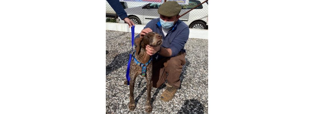 Animal Resgatado com Final Feliz… E a Importância do Microchip!