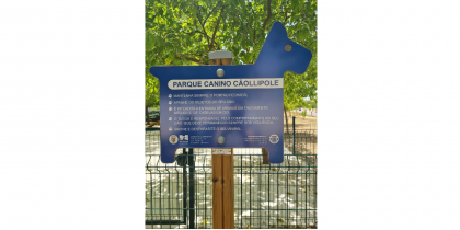 Parque Canino Cãollipole Já Abriu