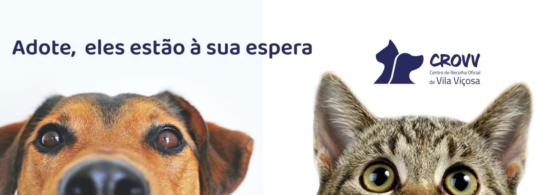 CROVV – Centro de Recolha Oficial de Vila Viçosa