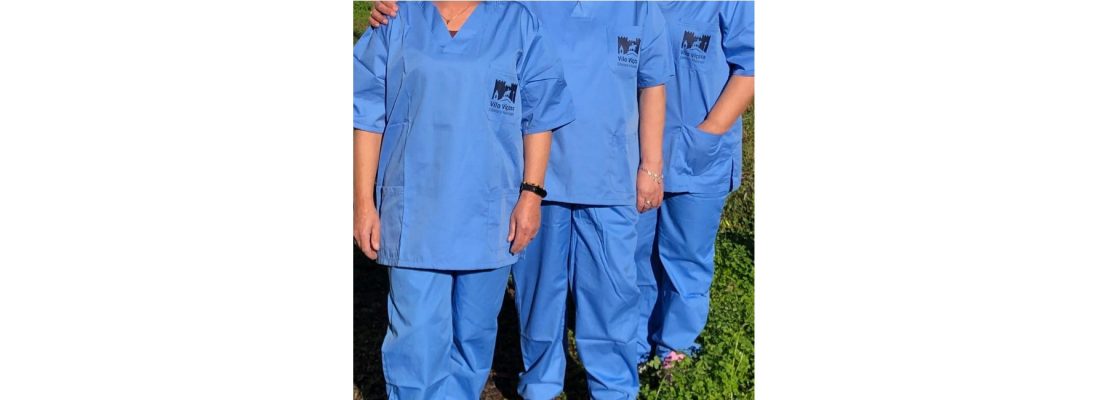 Assistentes Operacionais – Novas Fardas