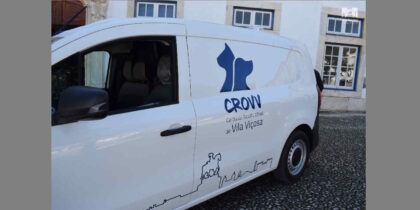 Município de Vila Viçosa Reforça o Bem-Estar Animal